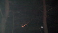 山火事の様子