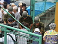 自衛隊派遣撤退感謝セレモニー