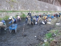 イトヨプロジェクト