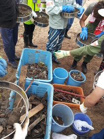 吉里吉里(きりきり)海岸清掃プロジェクト