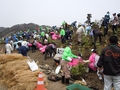 千年の杜づくり植樹祭