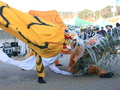 2011年12月大槌川で開催されたおおつち鮭まつり