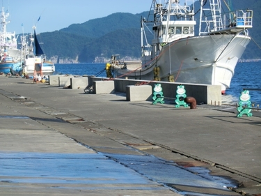 大槌漁港復旧工事