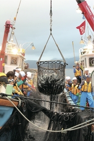 鮭定置網漁