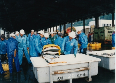よこたから鮭をタンクに移す魚市場の人たち