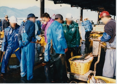 鮭の売り買いする漁師と業者