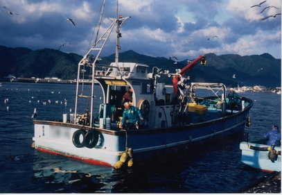 震災前大槌湾に入港する漁船