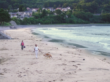 震災前の吉里吉里浪板海岸の風景