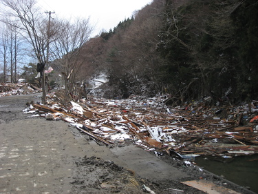 源水川に流れ着いたガレキ