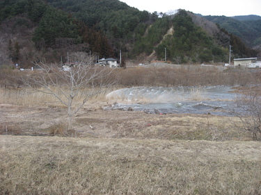 大槌川を上る津波