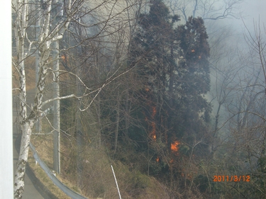 城山の山火事