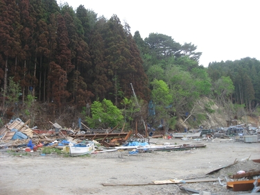 吉里吉里海岸の海側から山側を撮影