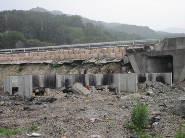 津波後の海岸の防風林